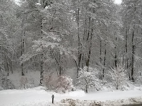 Blick von Straße Richtung Mühlgraben